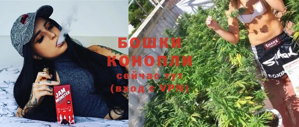 стафф Вяземский
