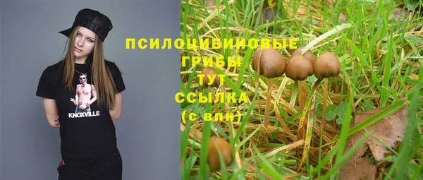 spice Кукмор