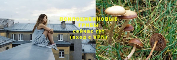 стафф Вязьма