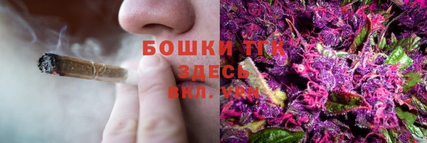 ПСИЛОЦИБИНОВЫЕ ГРИБЫ Алексеевка